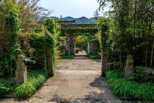 中式庭院 庭院 古镇 老建筑