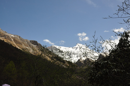 黄龙沟雪山