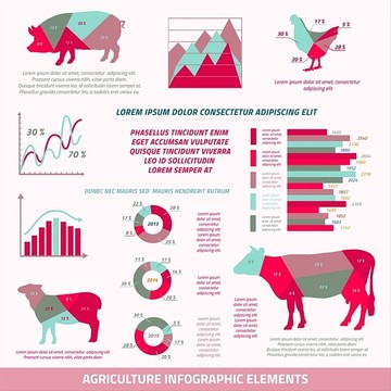 牲畜农业信息矢量图
