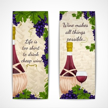 葡萄酒瓶及葡萄枝装饰矢量图