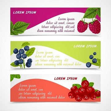 水果设计模板矢量图