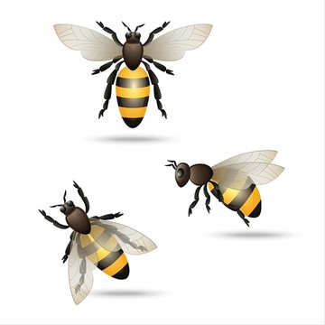 蜜蜂集矢量图