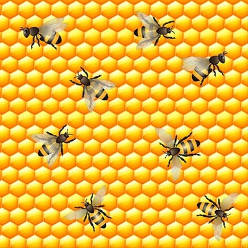 蜜蜂和蜂巢矢量图