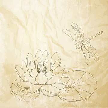 睡莲和蜻蜓矢量插画