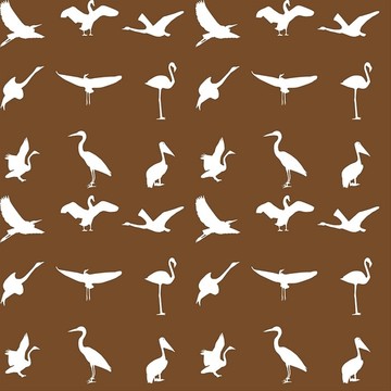 鳥類矢量圖