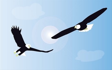 兩只老鷹矢量圖