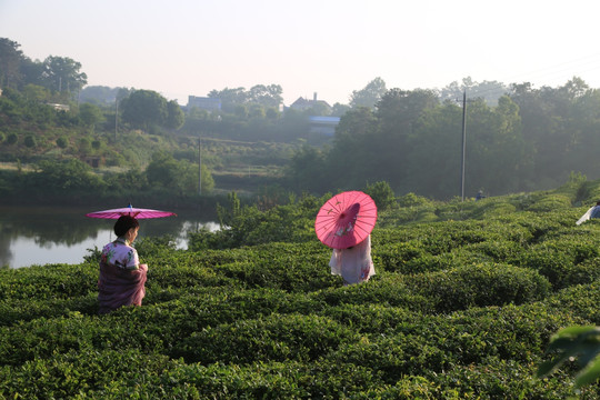 春天 观光旅游