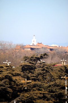 北京城 北京