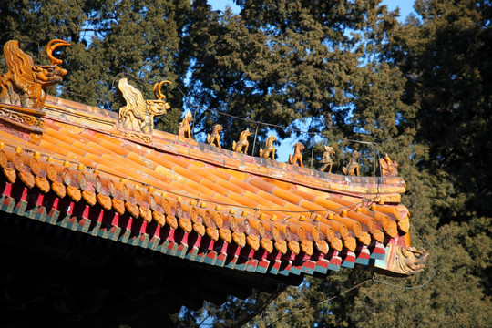 中国 故宫 故宫博物院 飞檐