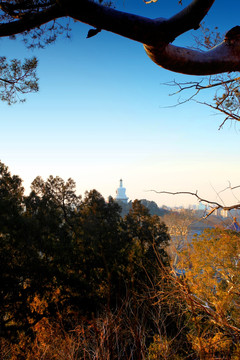 北京城