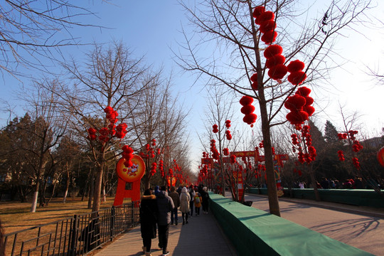 北京 地坛庙会 春节 红灯