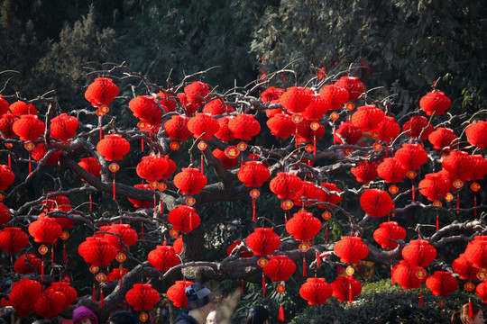 北京 地坛庙会 春节 红灯
