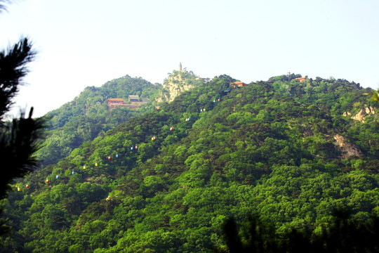 青山 崇山峻岭