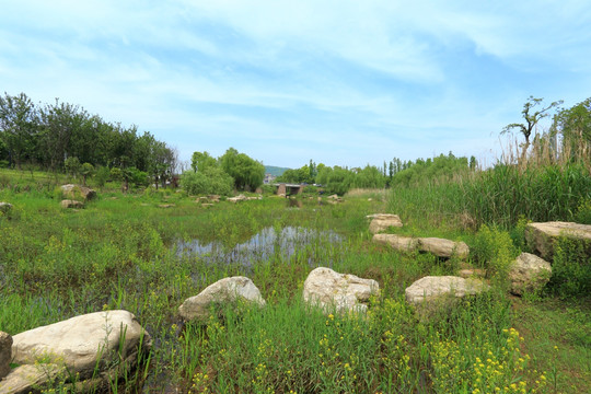 蓝天白云田野