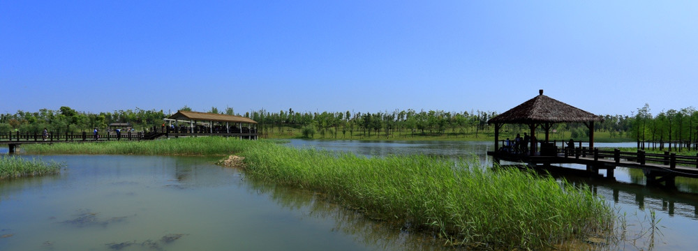 湿地公园自然美景