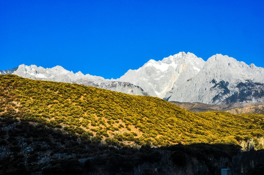 玉龙雪山