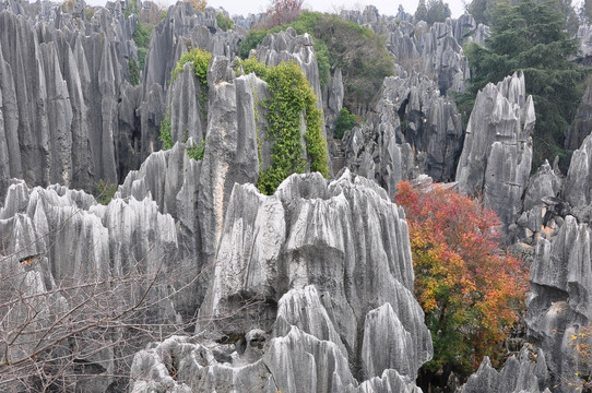 石林风光