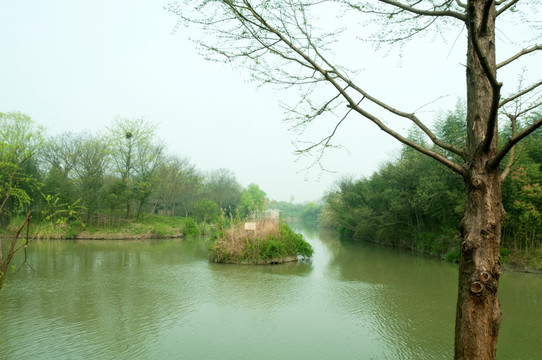 西溪湿地溪流