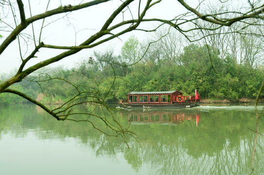 西溪湿地风光醉