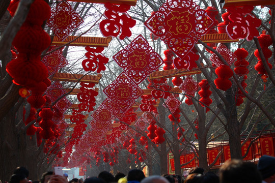 北京 地坛庙会 赶集 地坛公园