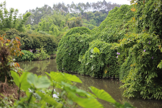 小河风光