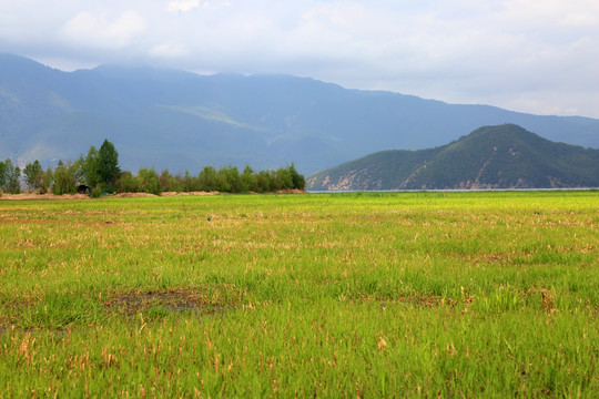 草海