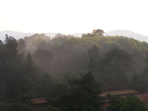 晨雾 山景