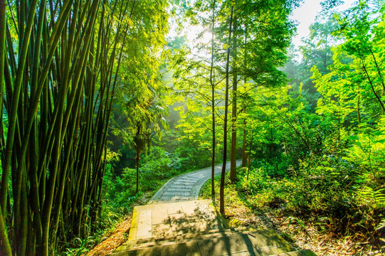 青城后山