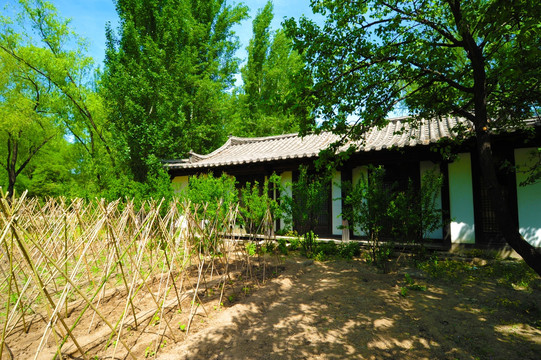 朝鲜族农家小院