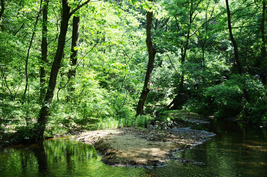 林中山涧