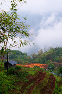 大山田野