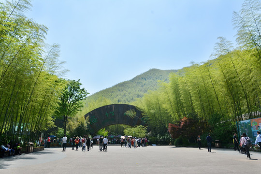 南山竹海大门