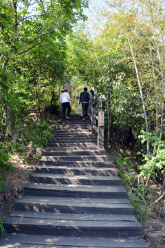 登山