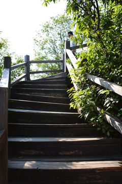 登山道