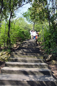 上山的路