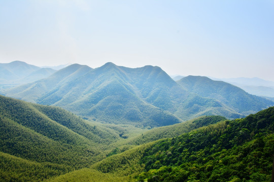 竹子山峦