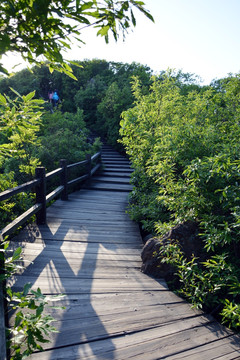 爬山山路