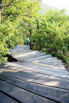 登山道