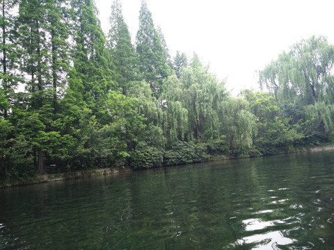 湖边风景