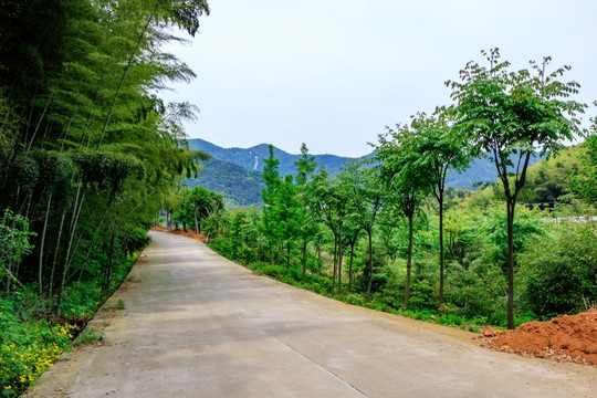 竹林公路