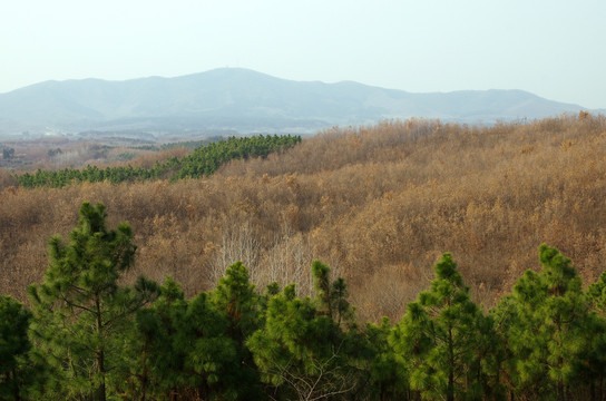 皇甫山之冬