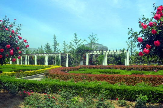 花卉公园