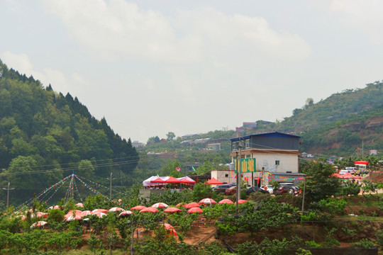 简阳樱桃沟 农家乐