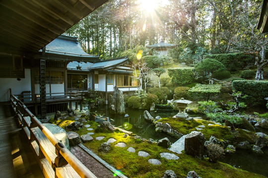 日本高野山一乘院美丽庭院景色