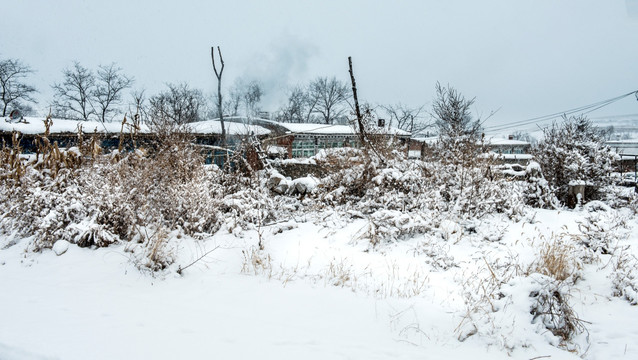 山村 雪