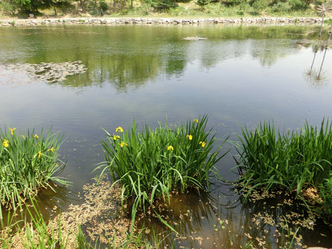 圆明园景色