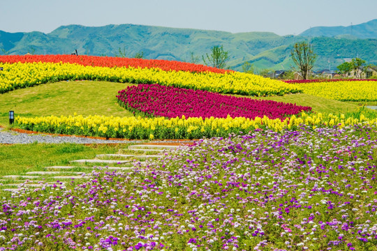 径山花海