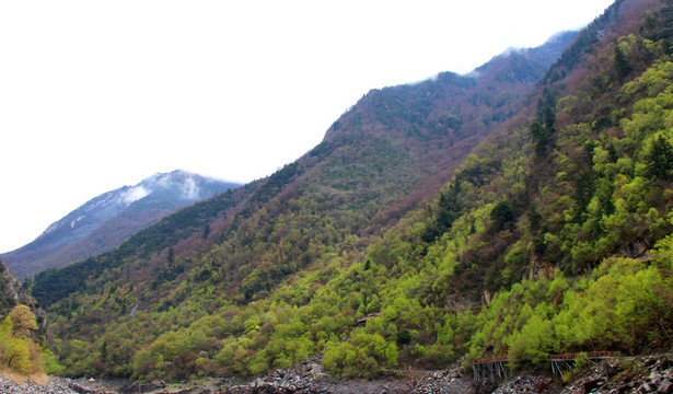 高山 湖泊