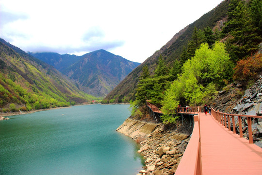 高山 湖泊