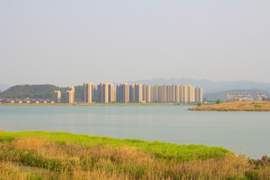 南湖公园湿地风景